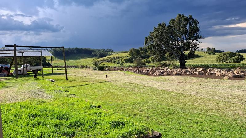 3 Bedroom Property for Sale in Carolina Mpumalanga