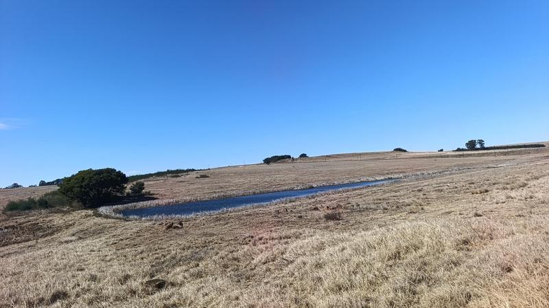 3 Bedroom Property for Sale in Carolina Mpumalanga