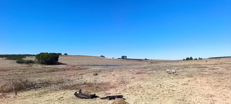 3 Bedroom Property for Sale in Carolina Mpumalanga