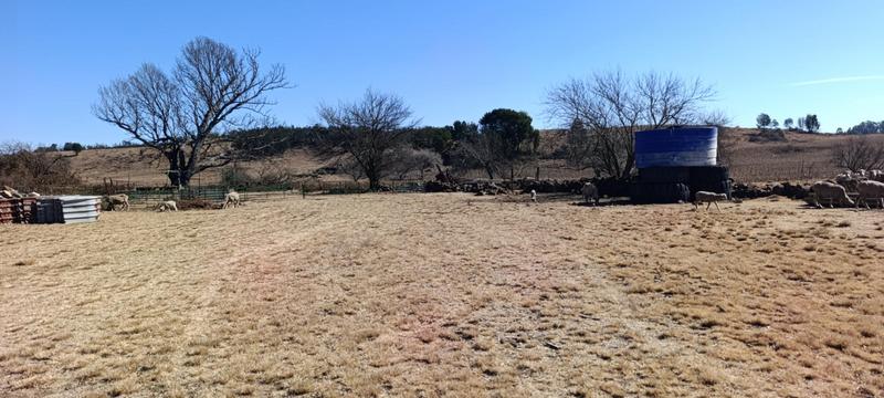 3 Bedroom Property for Sale in Carolina Mpumalanga
