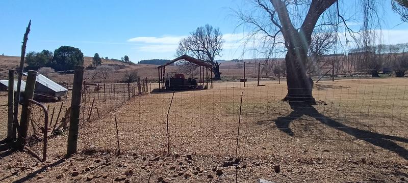 3 Bedroom Property for Sale in Carolina Mpumalanga