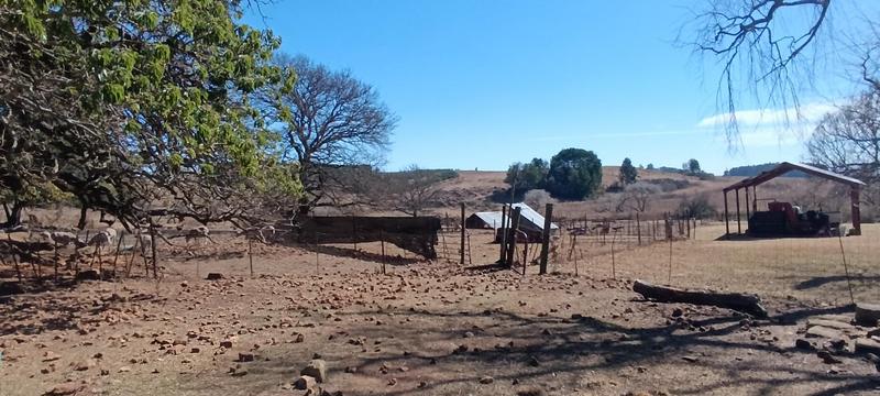 3 Bedroom Property for Sale in Carolina Mpumalanga