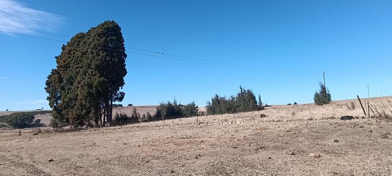 3 Bedroom Property for Sale in Carolina Mpumalanga