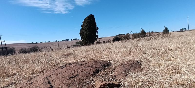 3 Bedroom Property for Sale in Carolina Mpumalanga