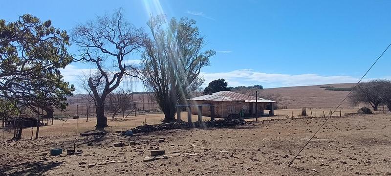 3 Bedroom Property for Sale in Carolina Mpumalanga