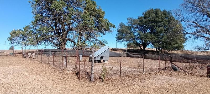 3 Bedroom Property for Sale in Carolina Mpumalanga