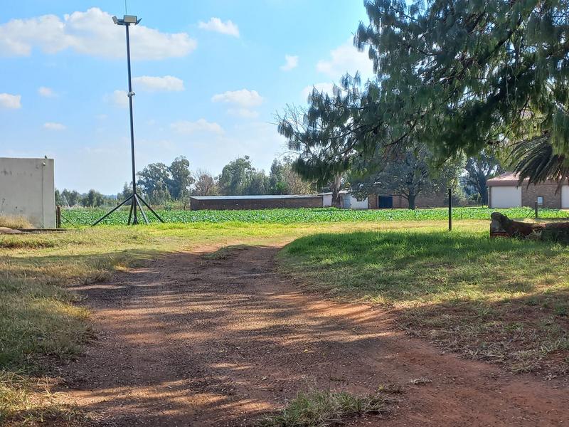 3 Bedroom Property for Sale in Eloff Mpumalanga