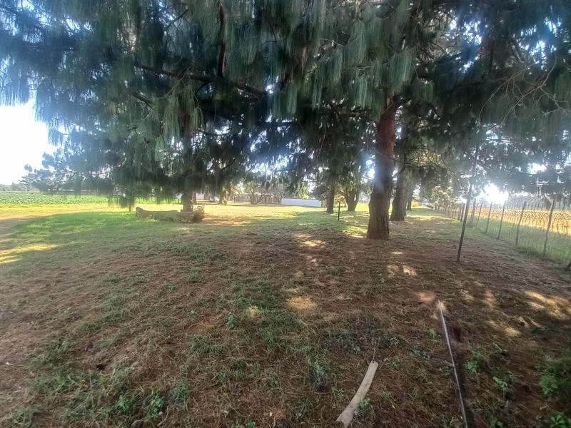 3 Bedroom Property for Sale in Eloff Mpumalanga