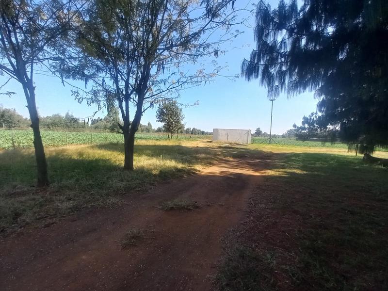 3 Bedroom Property for Sale in Eloff Mpumalanga