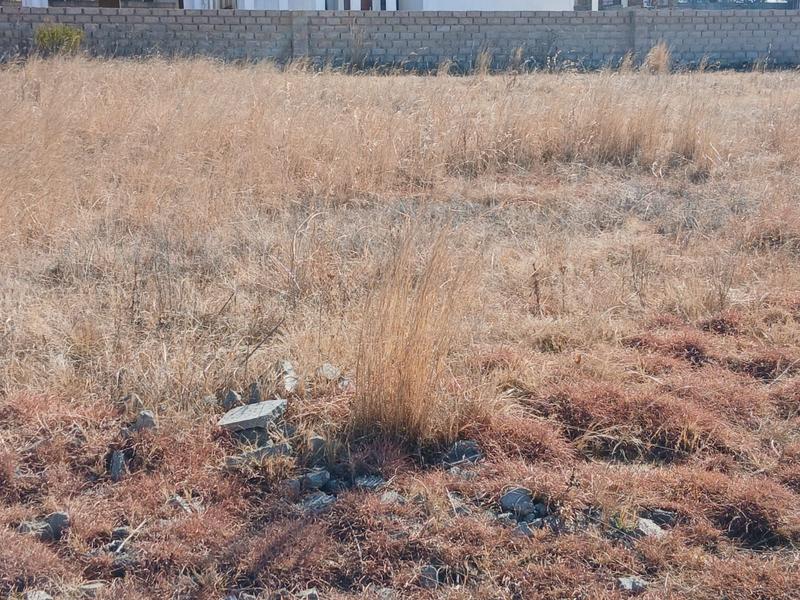 0 Bedroom Property for Sale in Hendrina Mpumalanga