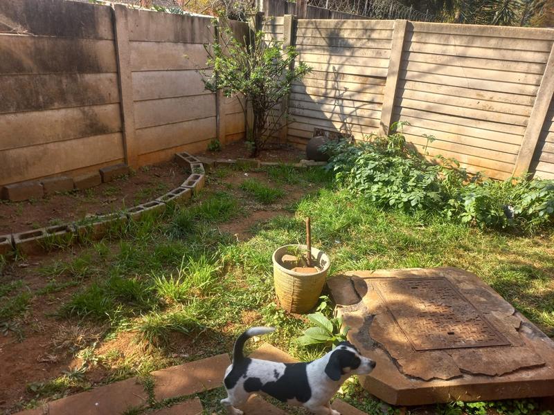 To Let 4 Bedroom Property for Rent in Delmas Mpumalanga
