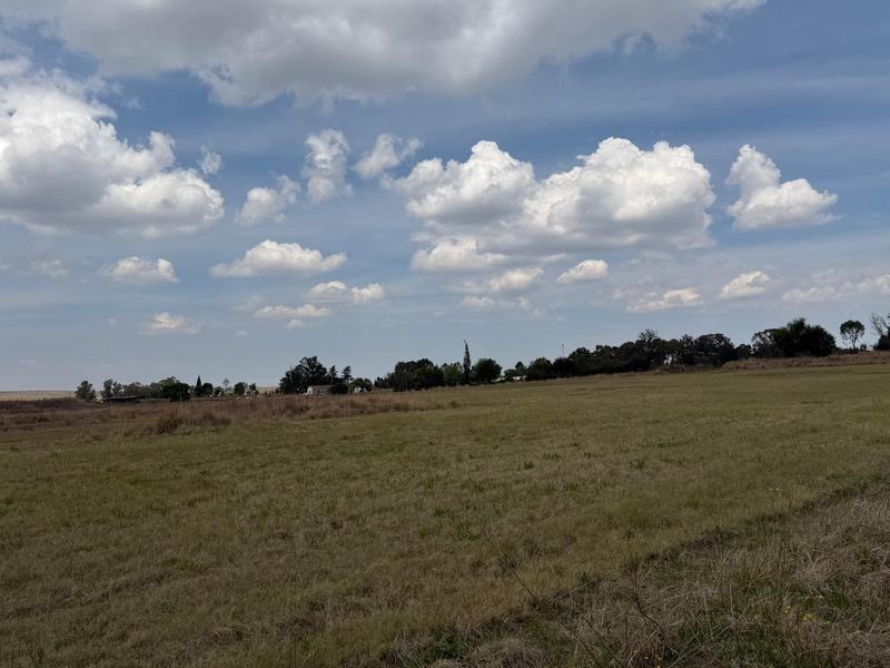 Commercial Property for Sale in Bethal Mpumalanga