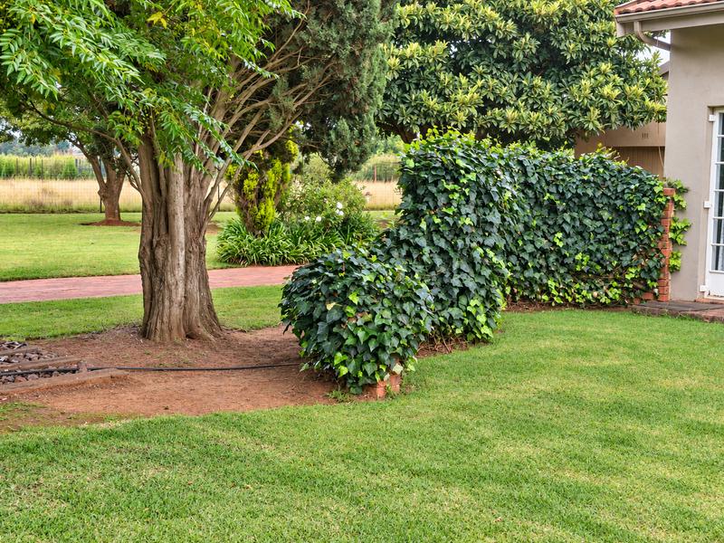 3 Bedroom Property for Sale in Eloff Mpumalanga