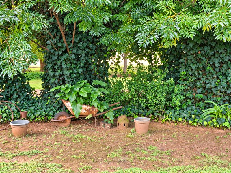 3 Bedroom Property for Sale in Eloff Mpumalanga