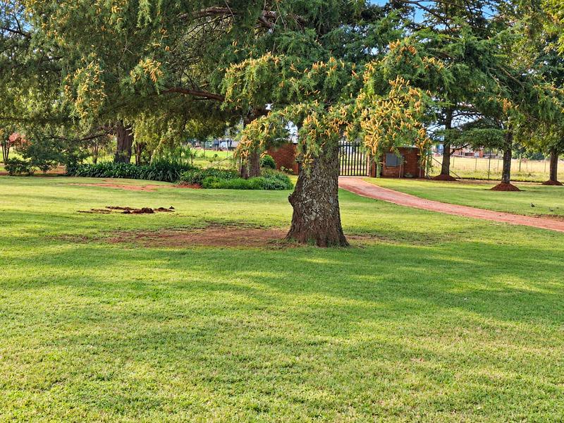 3 Bedroom Property for Sale in Eloff Mpumalanga