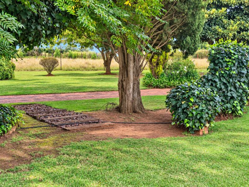 3 Bedroom Property for Sale in Eloff Mpumalanga