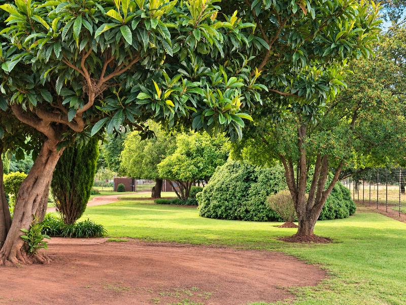 3 Bedroom Property for Sale in Eloff Mpumalanga