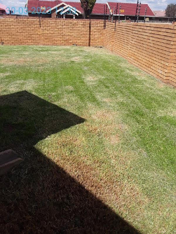 To Let 3 Bedroom Property for Rent in Delmas Mpumalanga
