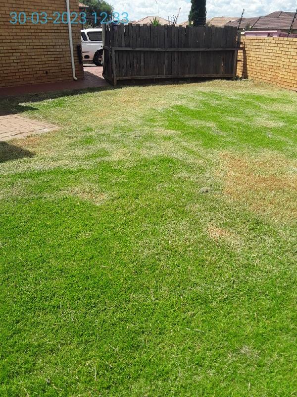 To Let 3 Bedroom Property for Rent in Delmas Mpumalanga