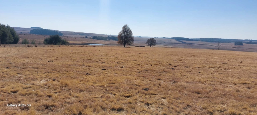 0 Bedroom Property for Sale in Belfast Mpumalanga