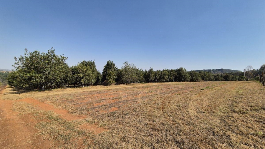 10 Bedroom Property for Sale in White River Mpumalanga