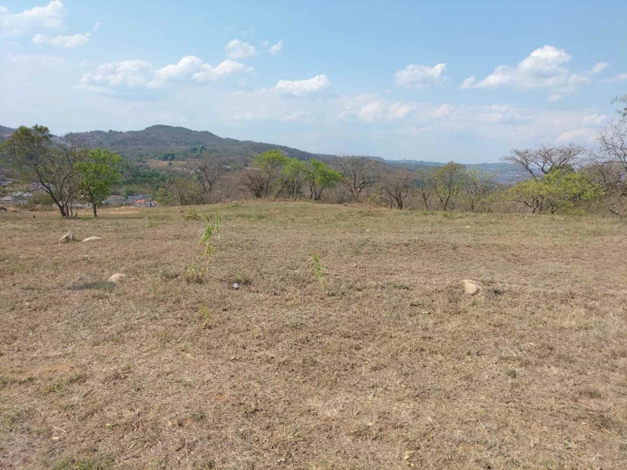 0 Bedroom Property for Sale in Drum Rock Mpumalanga