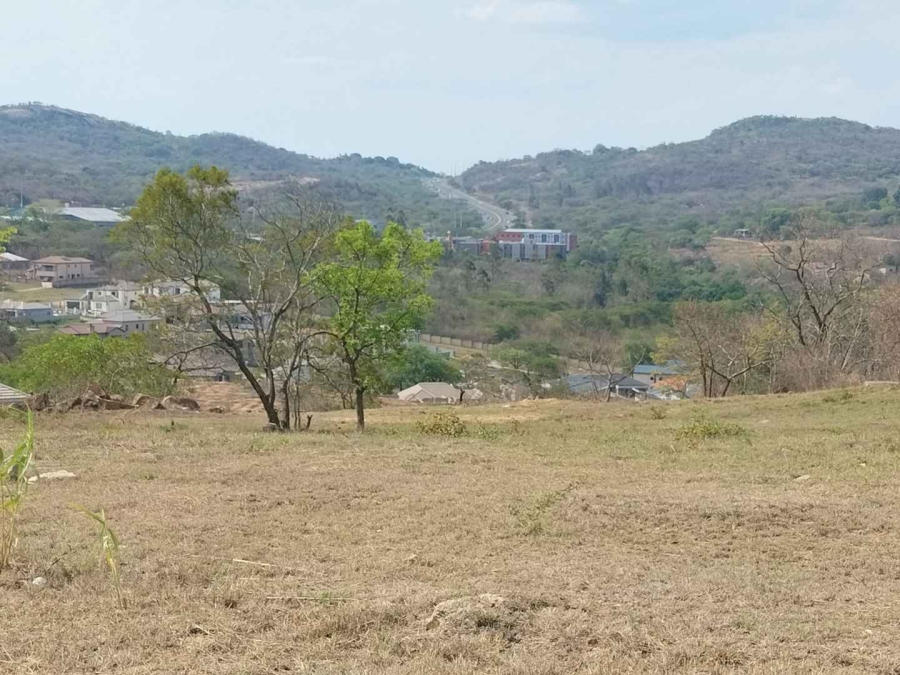 0 Bedroom Property for Sale in Drum Rock Mpumalanga