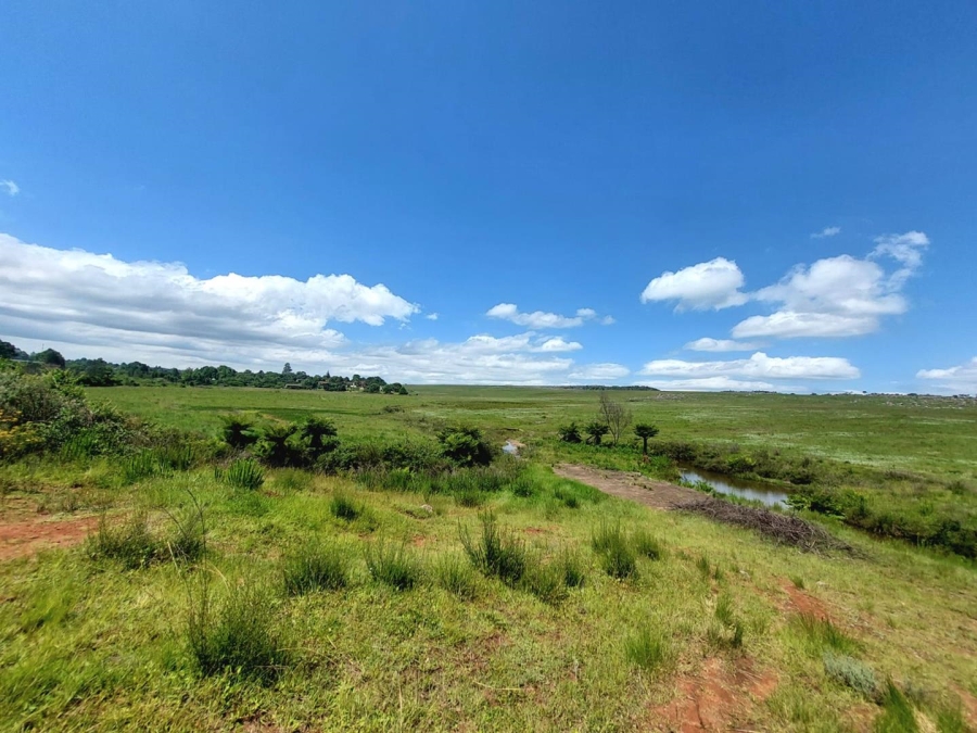 Commercial Property for Sale in Graskop Mpumalanga