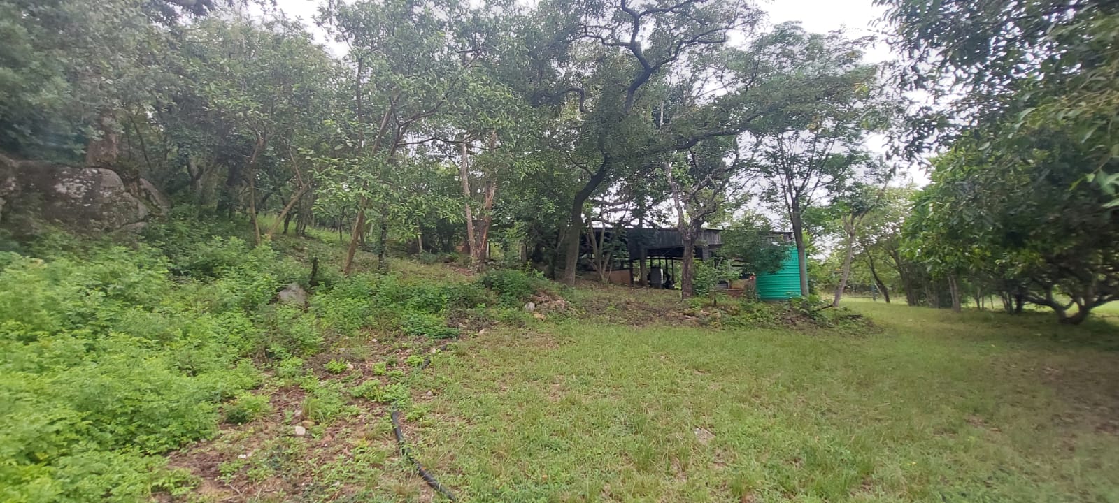 0 Bedroom Property for Sale in Maggiesdal Mpumalanga