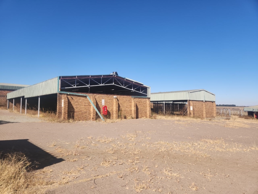 To Let  Bedroom Property for Rent in Standerton Rural Mpumalanga