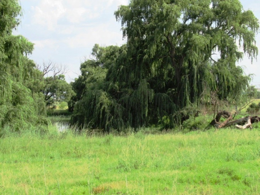 Commercial Property for Sale in Delmas Mpumalanga