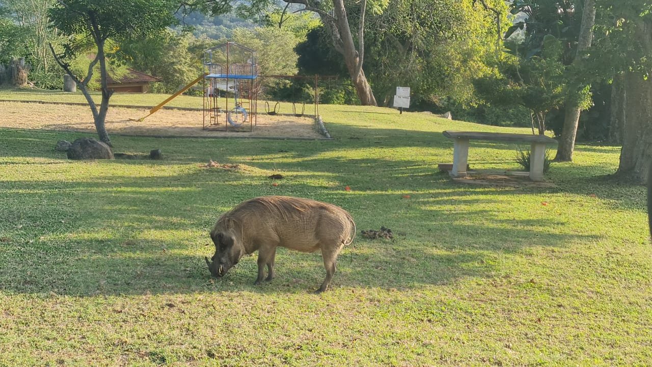  Bedroom Property for Sale in Wild Fig Country Estate Mpumalanga