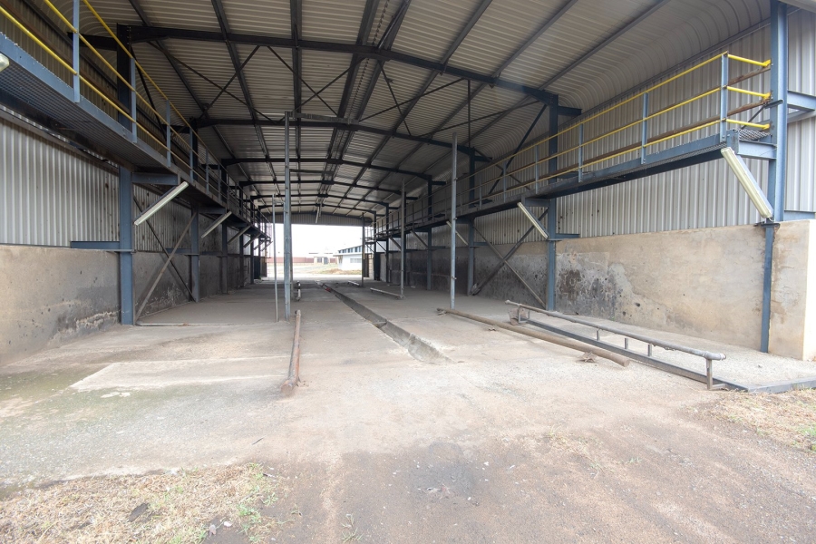 Commercial Property for Sale in Balfour Mpumalanga