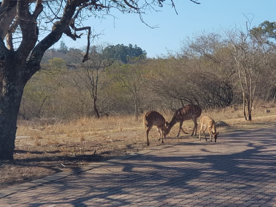 To Let 3 Bedroom Property for Rent in Wild Fig Country Estate Mpumalanga