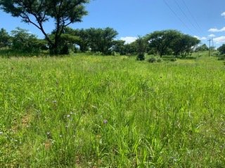  Bedroom Property for Sale in Barberton Rural Mpumalanga