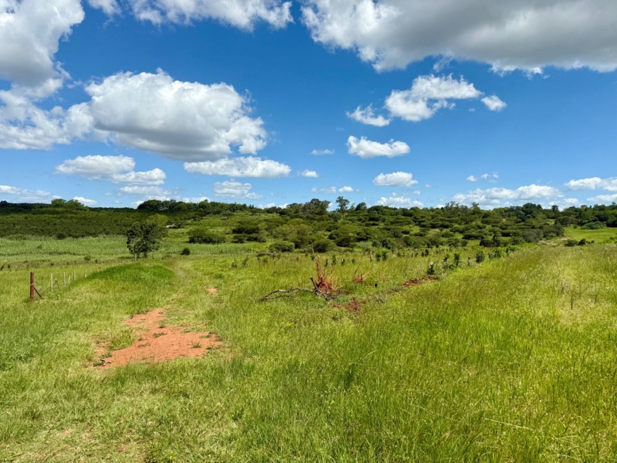 Commercial Property for Sale in White River Rural Mpumalanga