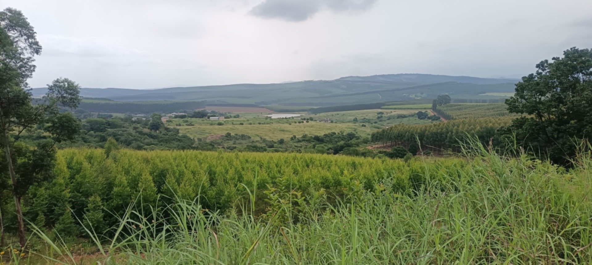 0 Bedroom Property for Sale in White River Estates Mpumalanga