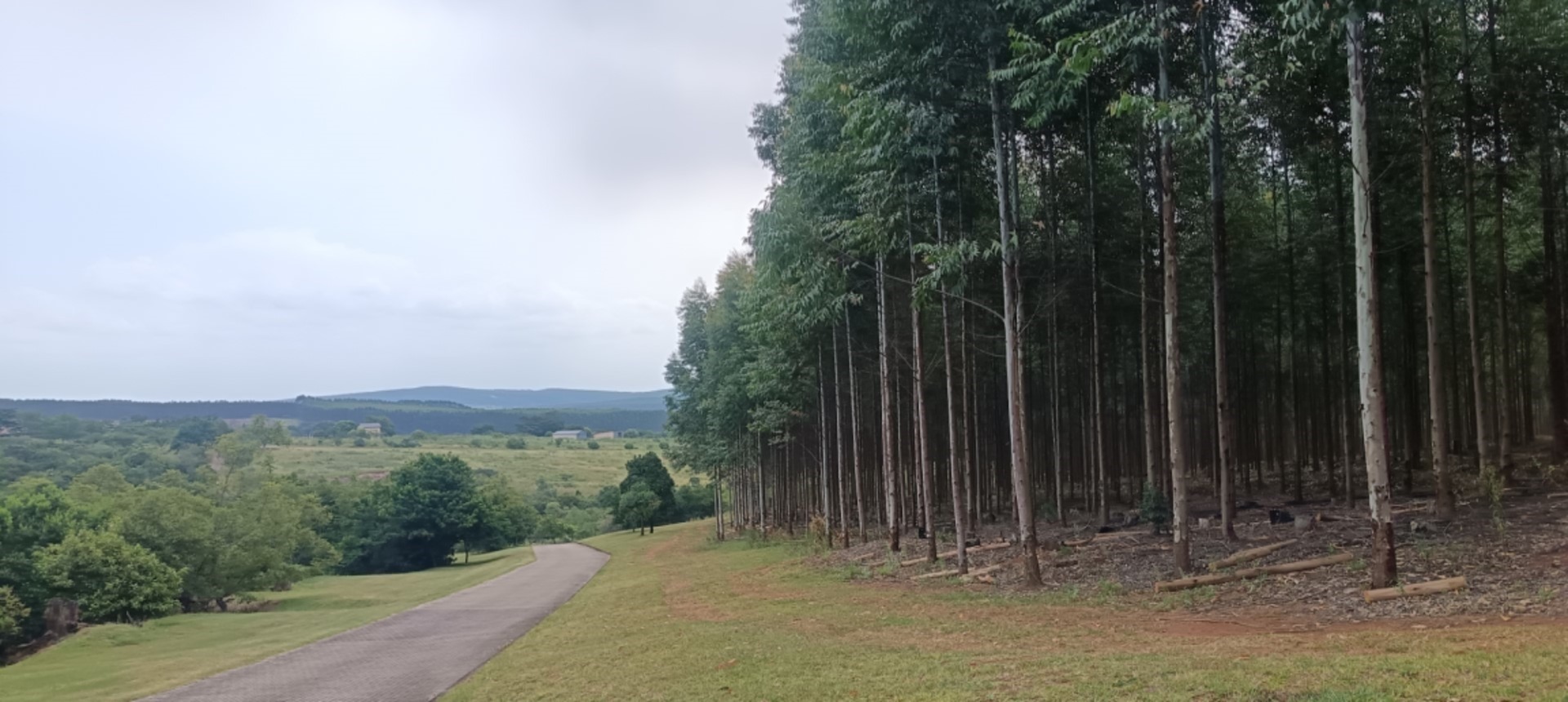 0 Bedroom Property for Sale in White River Estates Mpumalanga