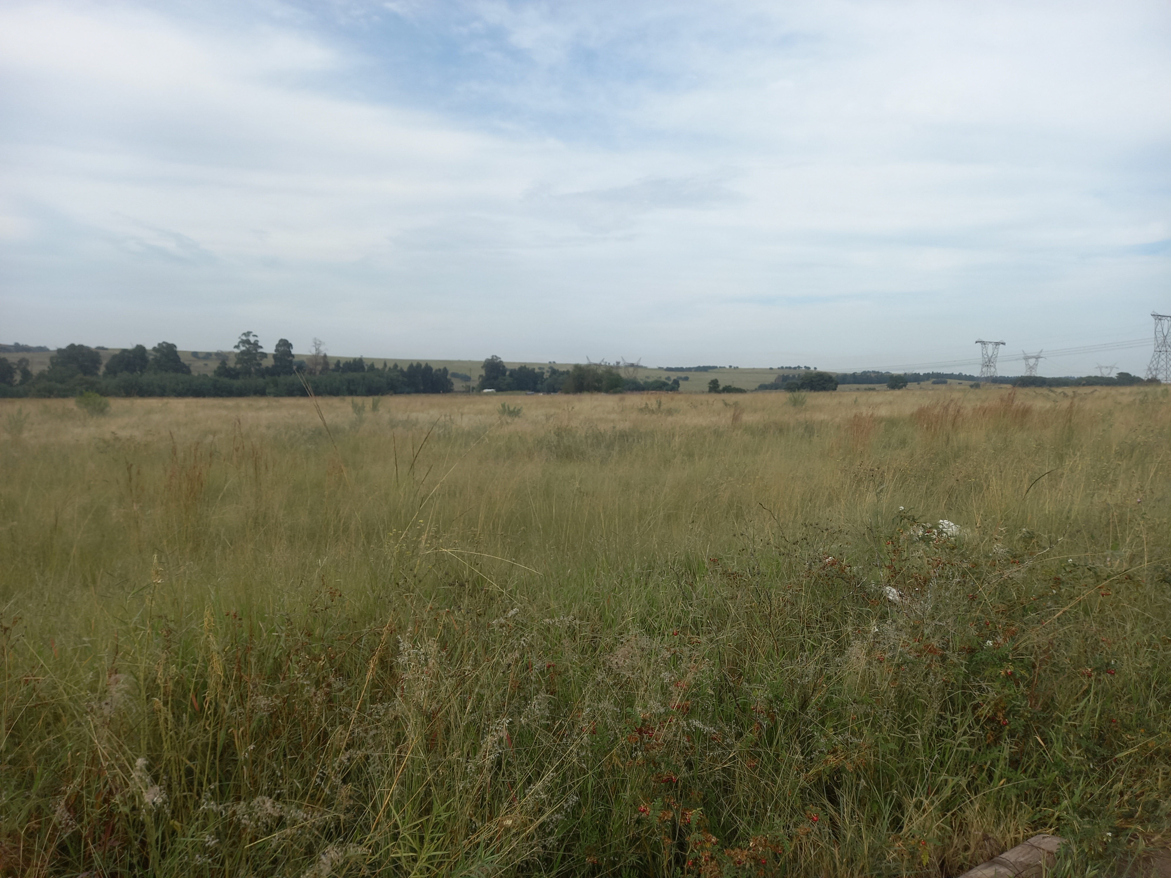 Commercial Property for Sale in Naaupoort Mpumalanga