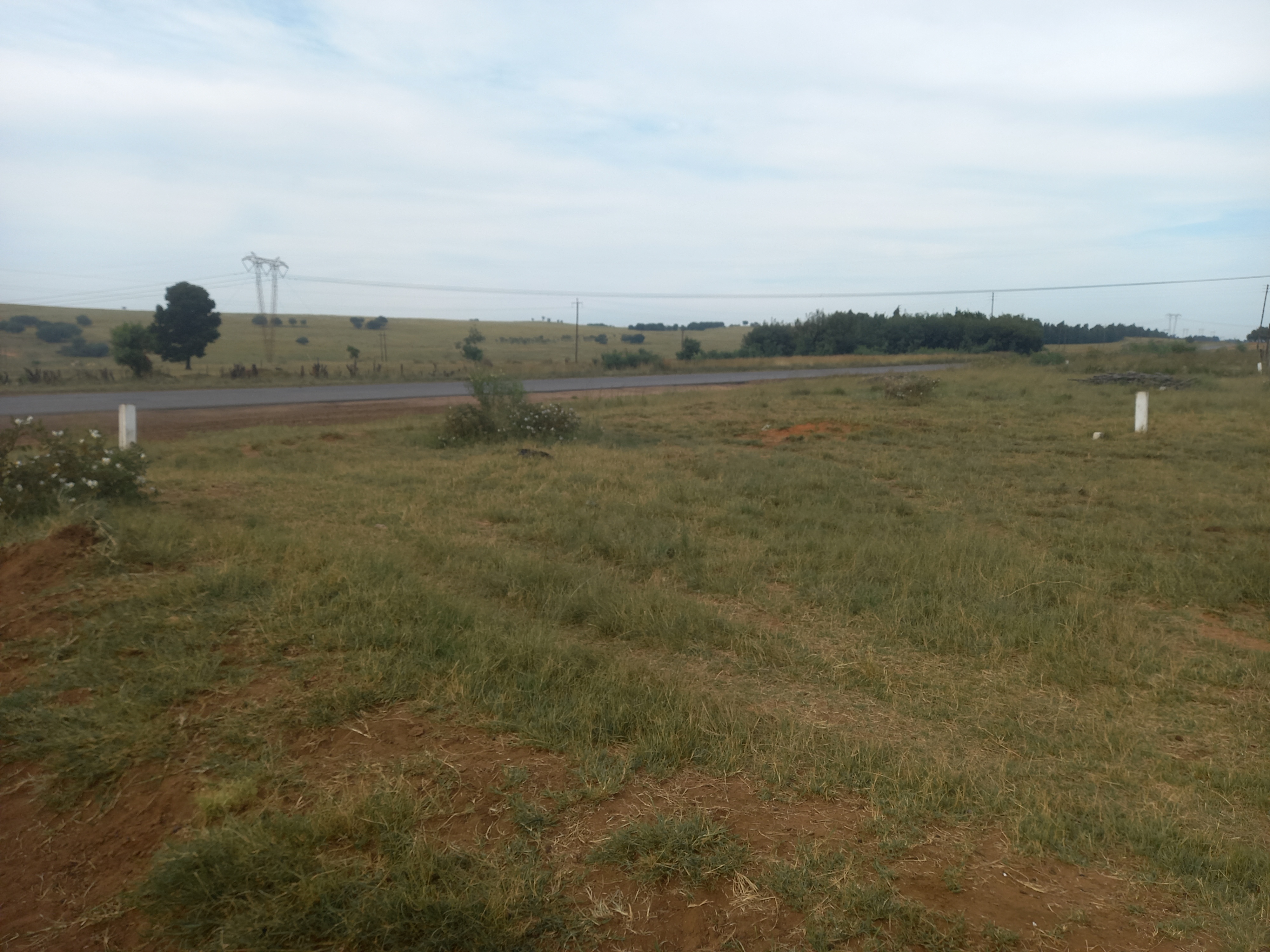 Commercial Property for Sale in Naaupoort Mpumalanga