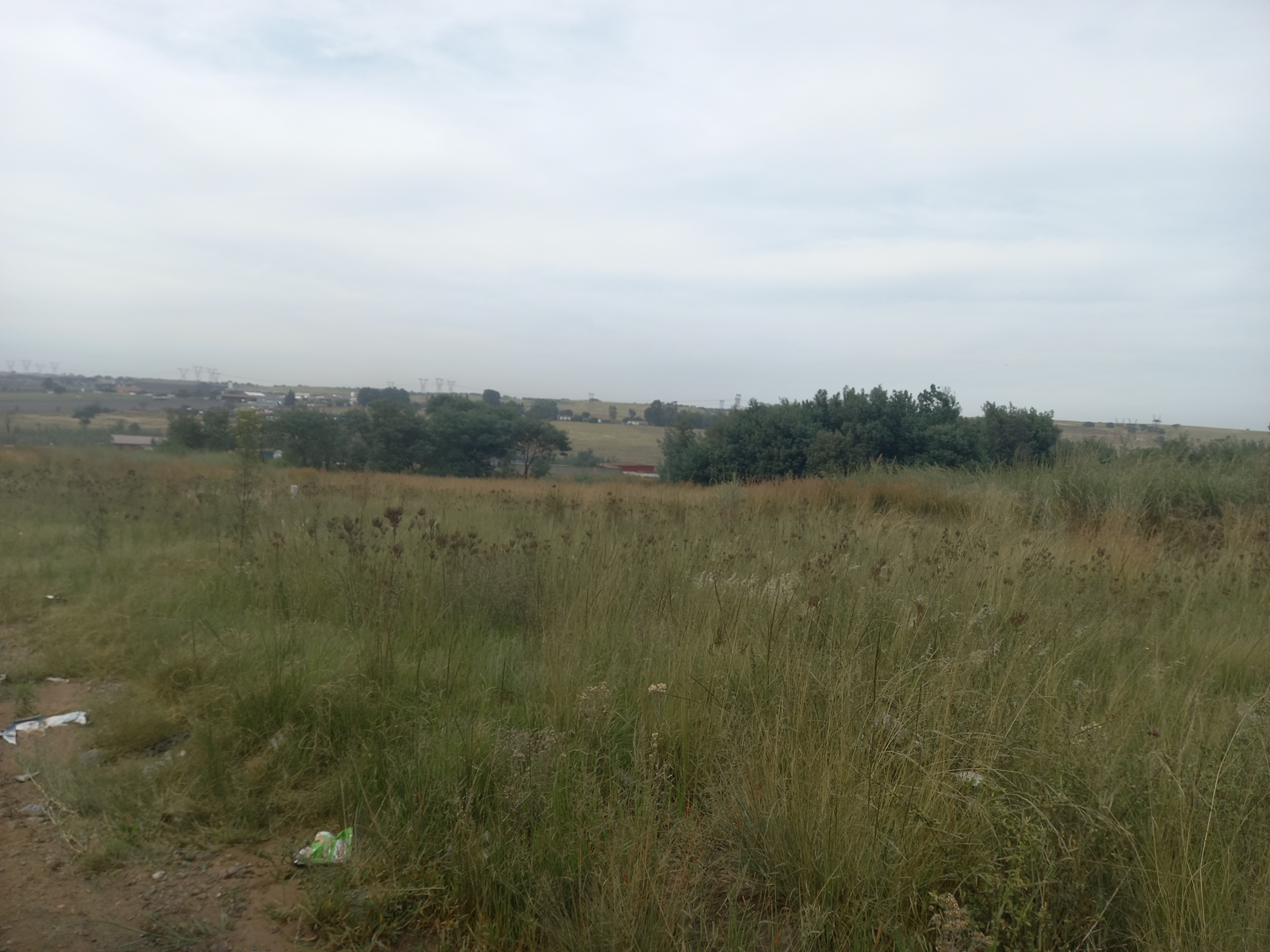 Commercial Property for Sale in Naaupoort Mpumalanga