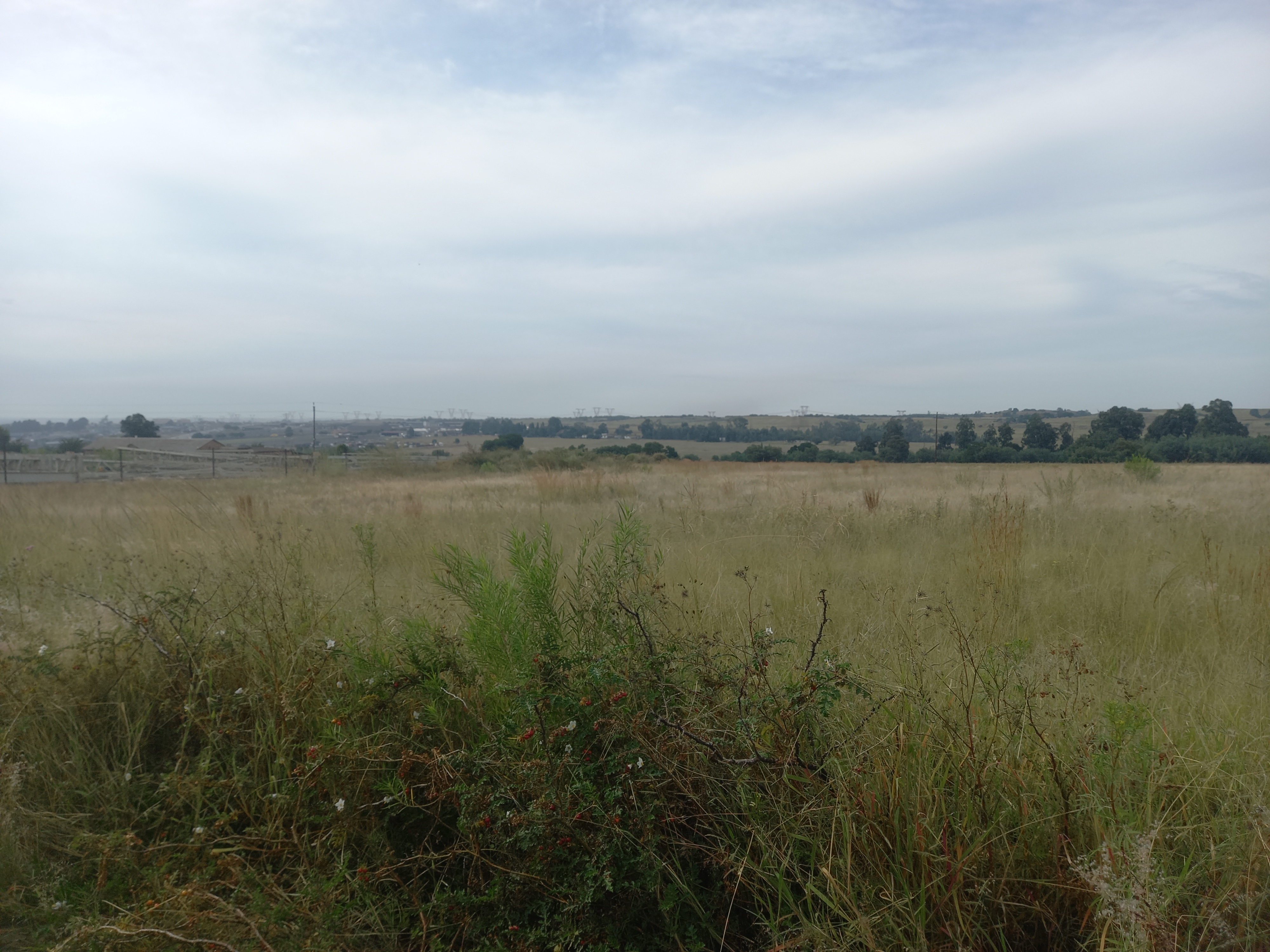 Commercial Property for Sale in Naaupoort Mpumalanga