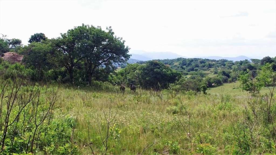 0 Bedroom Property for Sale in Hilltop AH Mpumalanga