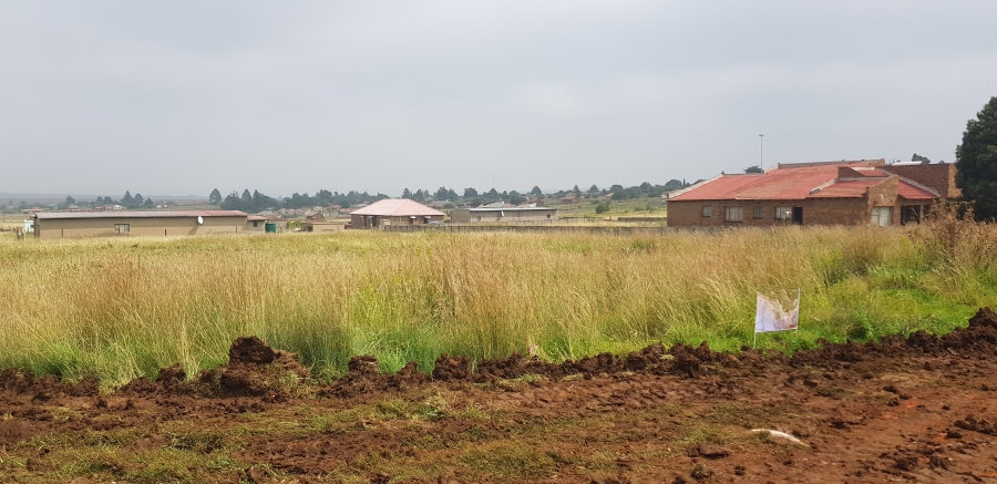 0 Bedroom Property for Sale in Balfour Mpumalanga