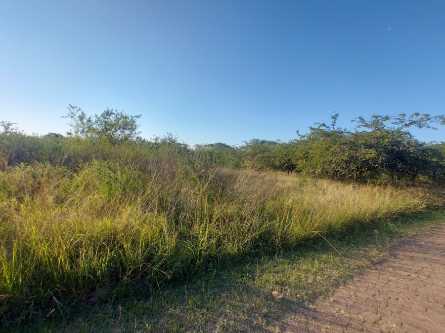 0 Bedroom Property for Sale in Bundu Wildlife Estate Mpumalanga