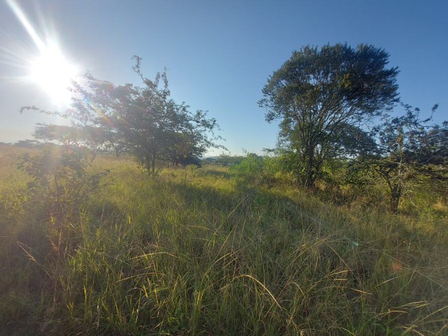 0 Bedroom Property for Sale in Bundu Wildlife Estate Mpumalanga