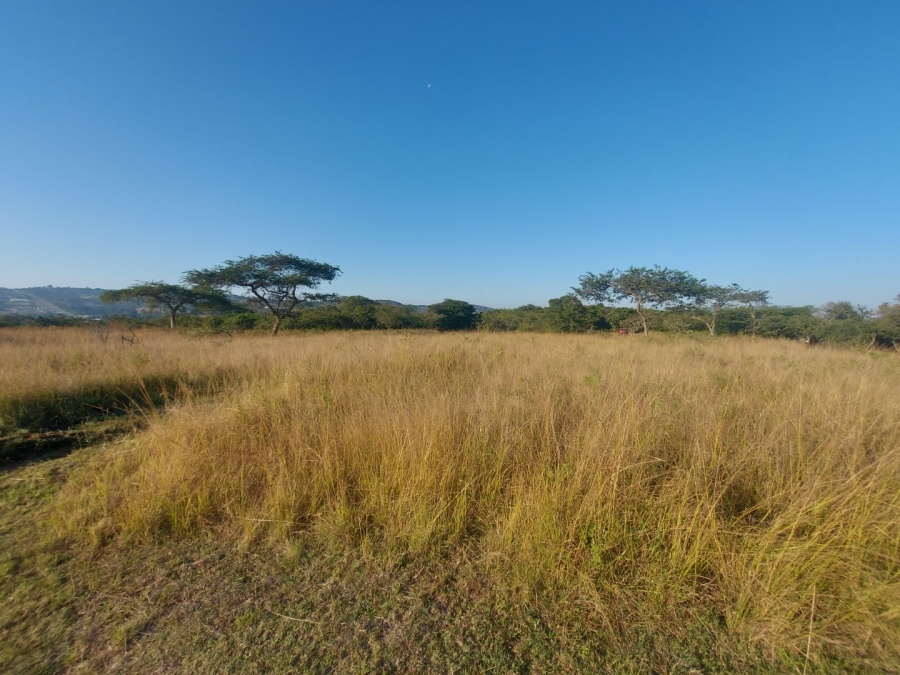 0 Bedroom Property for Sale in Bundu Wildlife Estate Mpumalanga