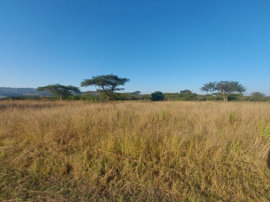 0 Bedroom Property for Sale in Bundu Wildlife Estate Mpumalanga