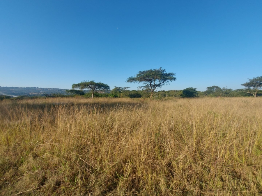 0 Bedroom Property for Sale in Bundu Wildlife Estate Mpumalanga