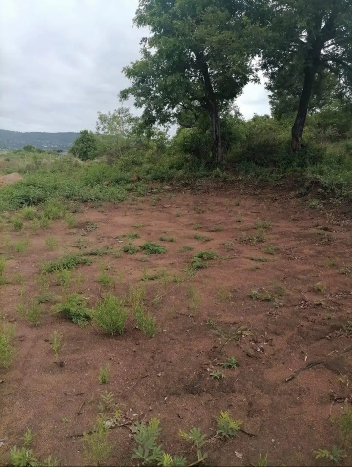 0 Bedroom Property for Sale in Hazyview Rural Mpumalanga